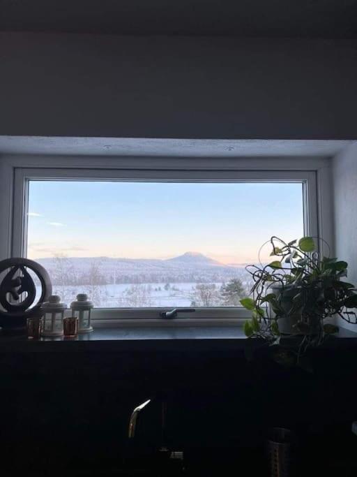 Fint Hus Naera Jaervsoebackenヴィラ エクステリア 写真